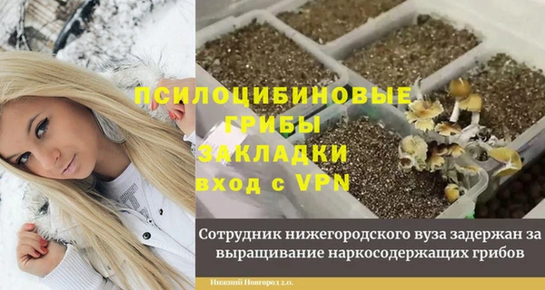 экстази Гусев