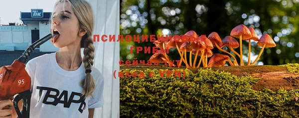 твердый Гусь-Хрустальный