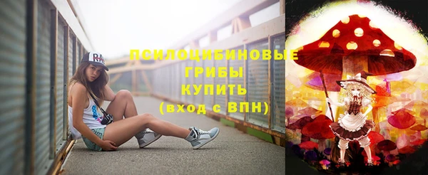 твердый Гусь-Хрустальный