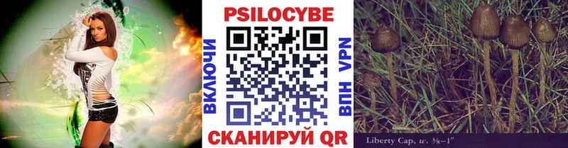 Купить  Нахабино  Псилоцибиновые грибы Psilocybe 